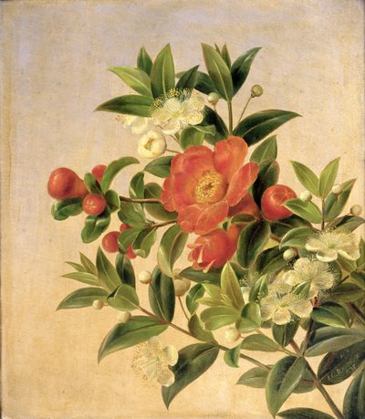 Fleurs, 1835 - Johan Laurents Jensen